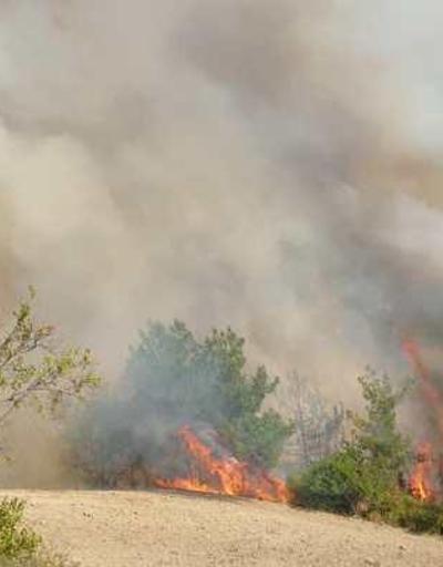 Son dakika yangın haberi: Osmaniyedeki yangın son durum ne