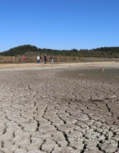 Kuş cenneti Yayla Gölünde 20 yılın en düşük su seviyesi