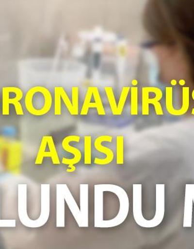 Koronavirüs aşısı bulundu mu Son dakika aşı haberleri… Çalışmalarda son durum ne