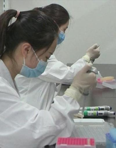 Brezilyada Çin aşısı krizi | Video