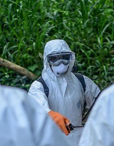 Demokratik Kongo Cumhuriyeti, Ebola salgınının sona erdiğini duyurdu