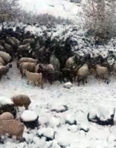 Tuncelide kar yağışı nedeniyle 25 köy yolu ulaşıma kapandı