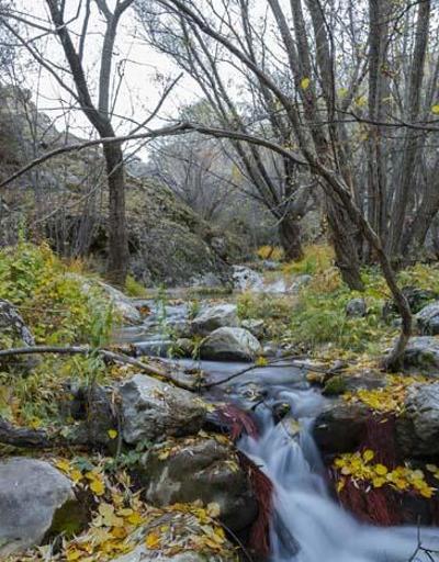 Ankarada saklı bir cennet Kıbrıs Köyü Kanyonundan muhteşem manzaralar