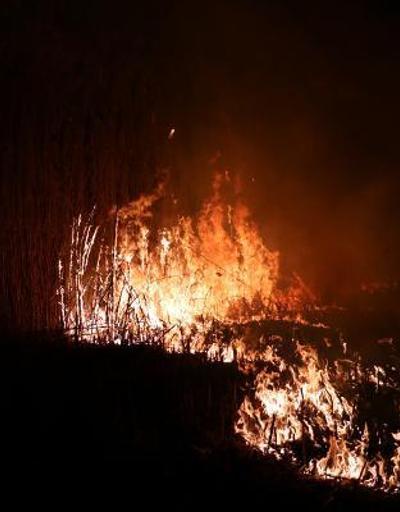 Eber Gölünün iki ayrı noktasında yangın çıktı | Video