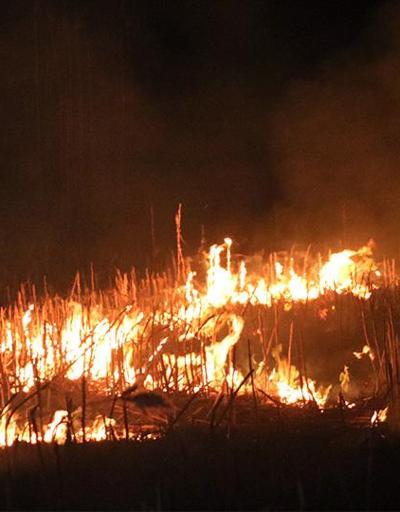 Eber Gölünde yine yangın çıktı | Video