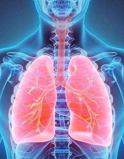 Akciğer sağlığı için risk faktörleri neler