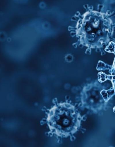 Ebolayı keşfeden profesörden açıklama: Yeni ve ölümcül virüslerle karşı karşıyayız