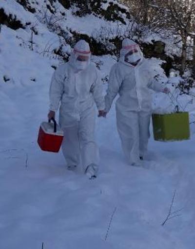 Filyasyon ekipleri karda da virüsün izini sürüyor | Video