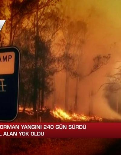 2020den Kalanlar: Avustralya yangını | Video