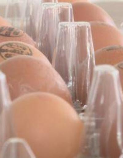Gezen tavuk yumurtası aldatması | Video