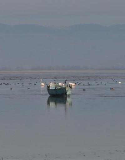 Manisanın kuş cenneti Marmara Gölünden göç