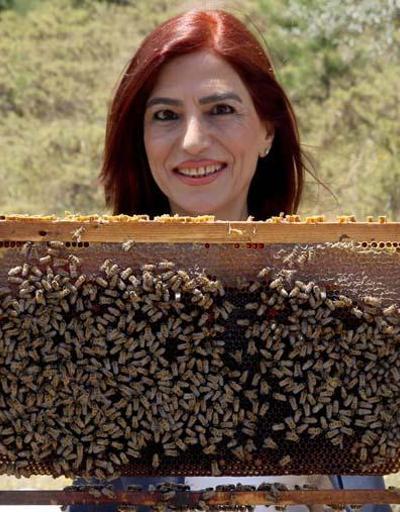 Prof. Dr. Ulviye Kumova: Arıların Covid- 19u tespiti konusunda bir test ve araştırma yapılmalı