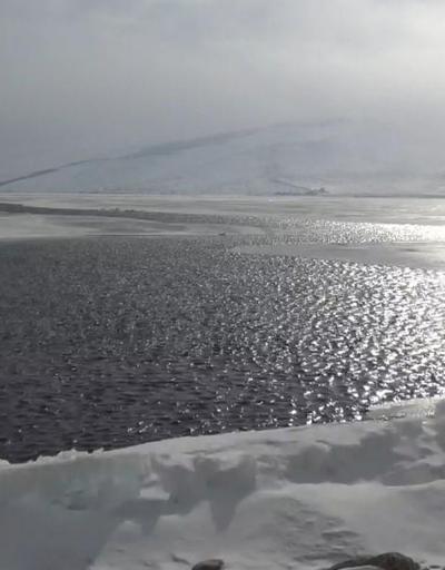 Çıldır Gölünde iki farklı manzara: Bir yanı çözüldü, bir yanı hala buzlu