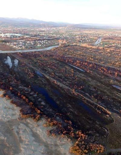 Kızılırmak Deltasındaki yangında zarar gören alan doğal yapısına kavuşuyor