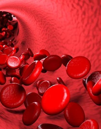Kanda Enfeksiyon Nedir Kan Zehirlenmesi (Sepsis) Belirtileri Nelerdir, Tedavisi Nasıl Yapılır