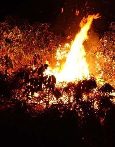 Trabzon’un Of ilçesinde ormanlık alanda yangın