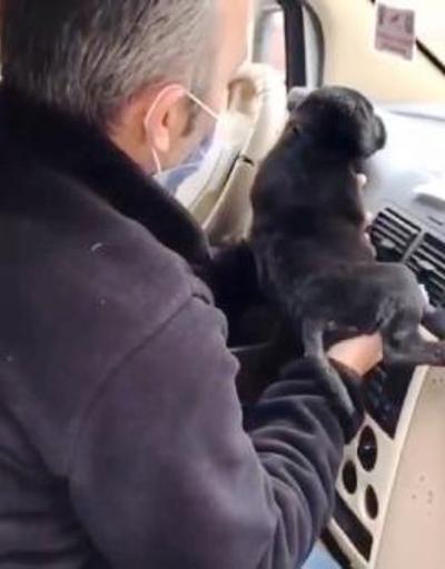 Polisler, üşüyen yavru köpeği ekip aracında ısıttı