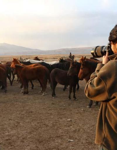 Fotoğraf tutkunlarının yeni gözdesi; Yılkı atlarıyla ünlü Hürmetçi Sazlığı