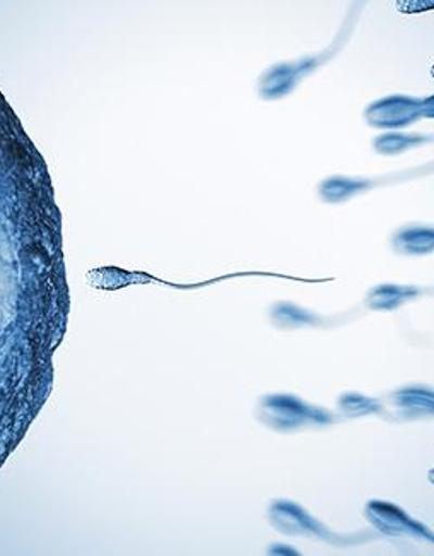 İnsan nesli tehlikede: 2045 yılında sperm sayısı 0 olacak