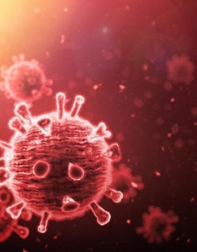COVID-19un Brezilya mutasyonu virüsten iyileşmiş birçok kişiye yeniden bulaştı