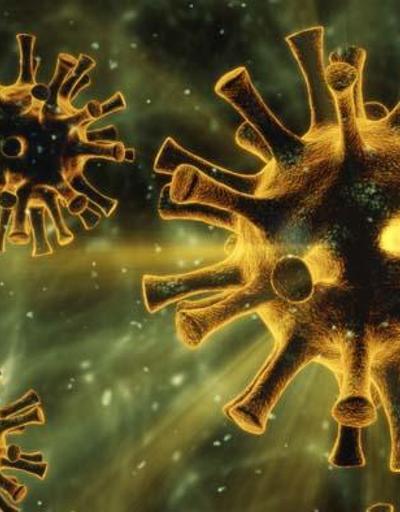Koronavirüste dikkat çeken araştırma 10 kat daha yüksek çıktı