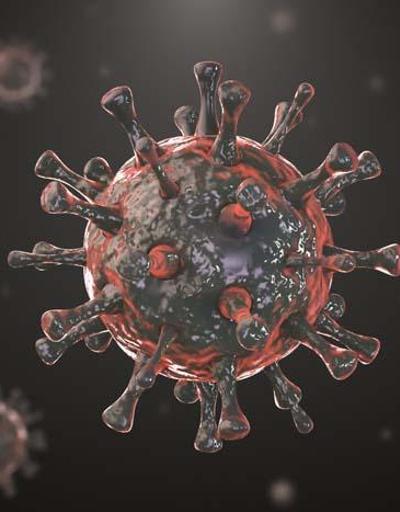 Koronavirüs tetikliyor Korkutan uyarı geldi: Kovid sonrası bu yıl hasta sayısında artış yaşanabilir