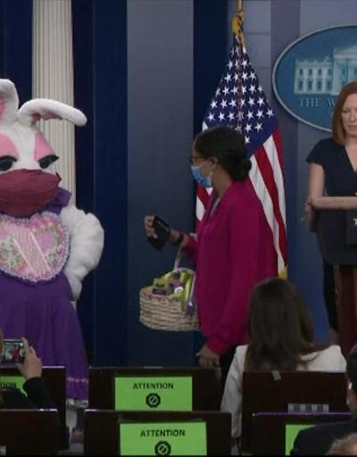 Beyaz Sarayda Paskalya tavşanı basın toplantısını bastı