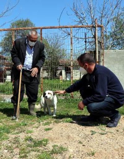 Kayıp olarak aranan yaşlı adamın beslediği sokak köpeğine köylüler sahip çıktı