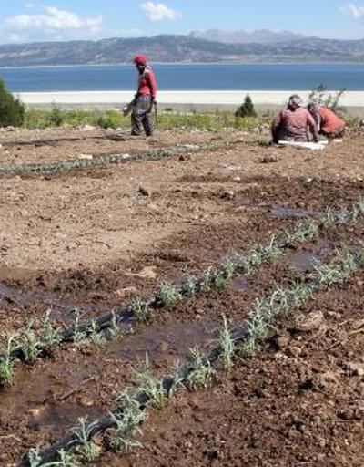 Burdur Gölünü susuz tarım kurtaracak