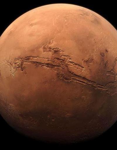 Bilim insanlarından Mars Vebası uyarısı