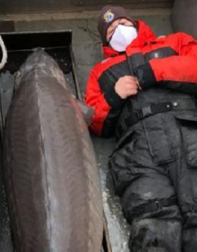100 yaşında 109 kiloluk mersin balığı yakalandı