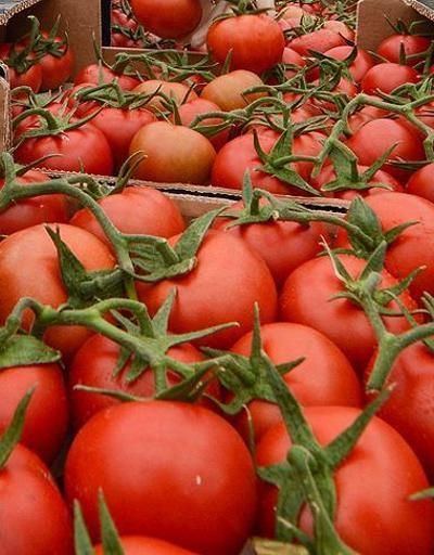 Nisanda fiyatı en fazla artan ürün domates, en çok düşen ise patlıcan oldu