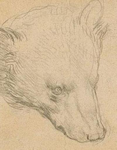 Leonardo da Vincinin çizimi servet değerinde satılacak