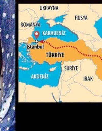 Cani 4500 km öteden geldi: İstanbulda katletti