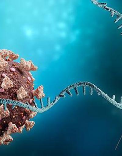 Koronavirüs Bilim Kurulu Üyesi Kayıpmaz, mRNA aşılarının DNAyı değiştirdiği iddialarını değerlendirdi