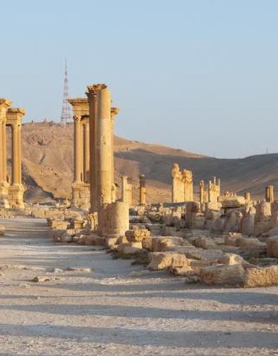 Palmira Nerede, Nasıl Gidilir Palmira Antik Kenti Hangi Ülkededir
