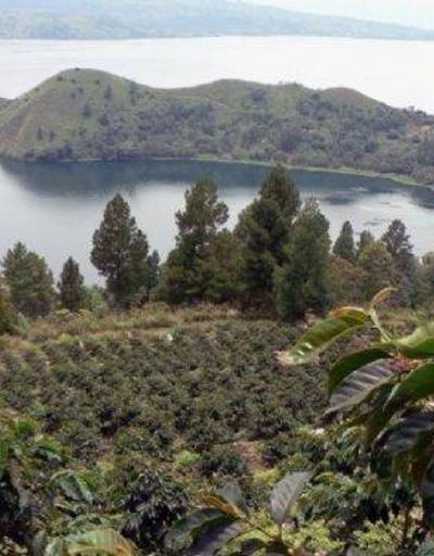 Sumatra Adası Nerede, Nasıl Gidilir Sumatra Adası Hakkında Bilinmesi Gerekenler