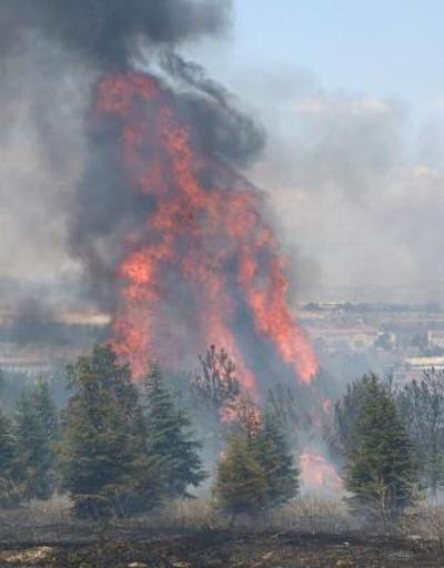 Ankarada Atatürk Orman Çiftliği arazisinde yangın: 1 kişi gözaltına alındı