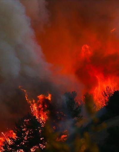 Prof. Mikdat Kadıoğlundan yangın açıklaması: Fön rüzgarlarıyla her yer kurudu, ısındı
