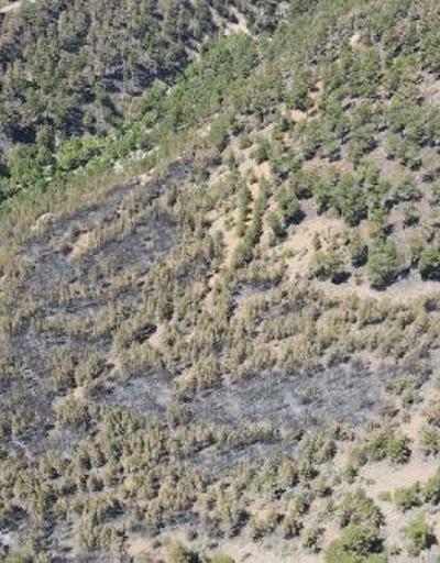 Kayseri’deki orman yangını 3üncü günde kontrol altında