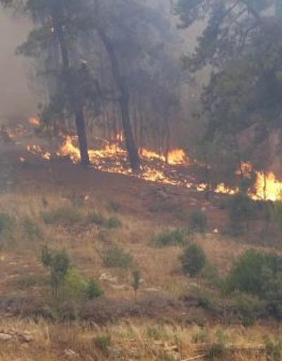 SON DAKİKA Orman yangınları nerelerde devam ediyor İşte il il, köy köy devam eden orman yangınları