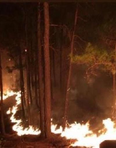 Orman yangınları nerelerde devam ediyor İl il, köy köy süren yangınlar...