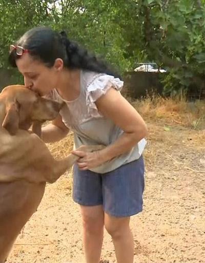 11 köpek ve 35 kedisini alevlerden korudu