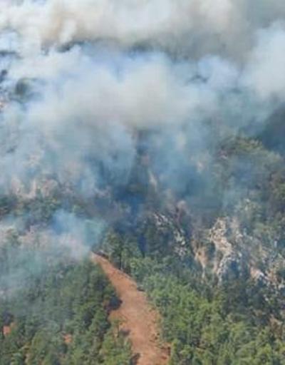 SON DAKİKA: Köyceğizde orman yangını