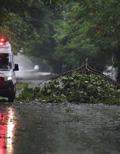 Meksikada tropik fırtına nedeniyle 8 kişi öldü