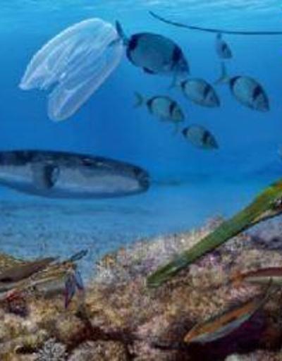 Prof. Dr. Öztürk: Denizlerimizdeki yabancı türler biyo-güvenlik sorununa neden oluyor
