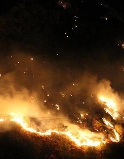 Şemdinli’de orman yangını Ekipler müdahale ediyor