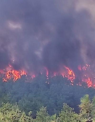 Çanakkalede orman yangını: 30 hektar alan zarar gördü