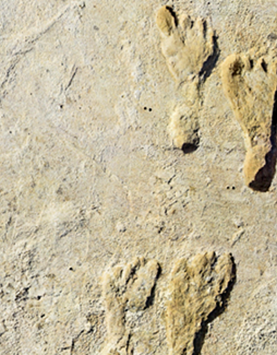 ABDde 23 bin yıllık insan ayak izleri keşfedildi
