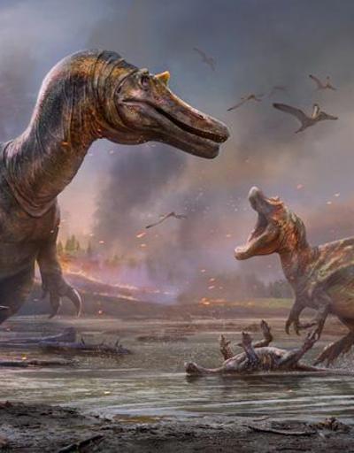 İngiltere’de kazı çalışmalarında yeni dinozor türleri bulundu